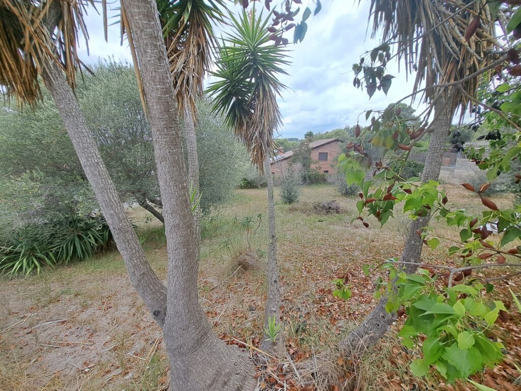 ¡Oportunidad de inversión en Rubí! Se ofrece en venta un terreno urbanizable en la tranquila zona de Can Ximelis – Can Serrafossa. Con una superficie de 439 m², este espacio permite edificar la casa de tus sueños o un proyecto que se adapte a tus necesidades.