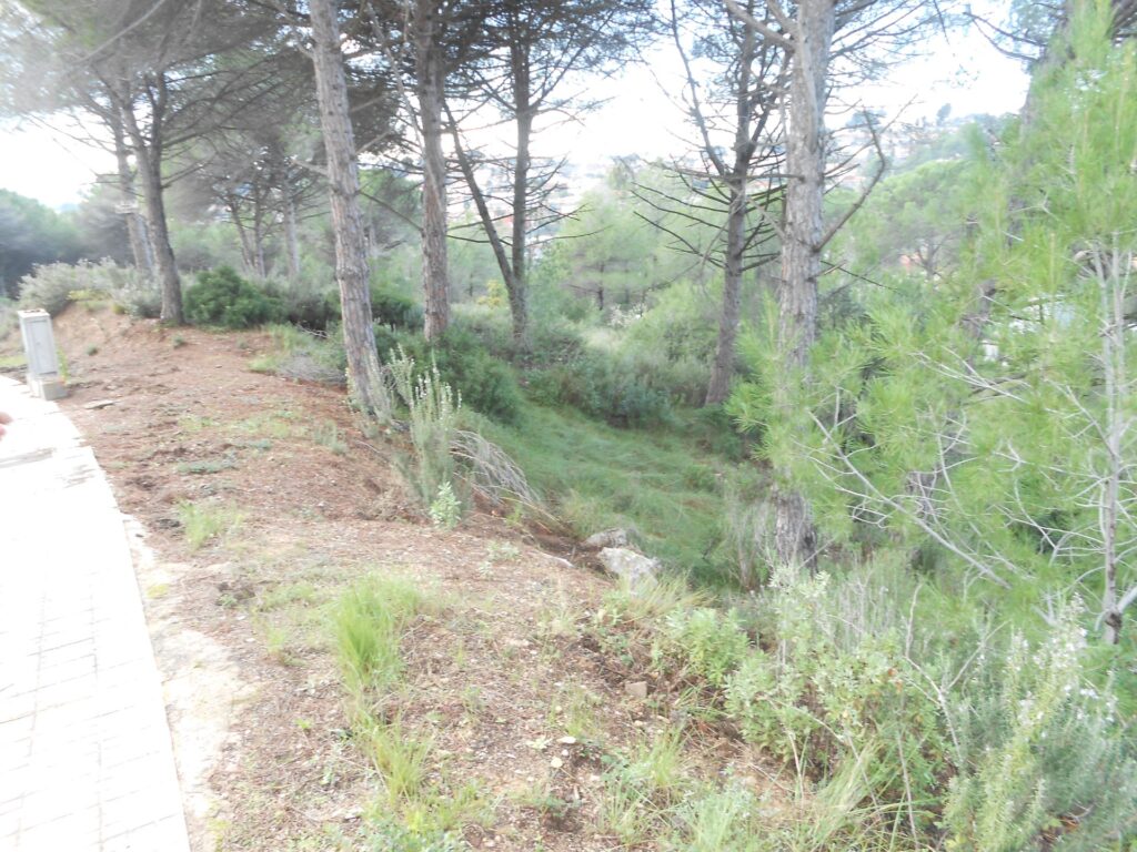 Busques el lloc ideal per construir casa teva? Et presentem un terreny en venda a la urbanització de Rubí, a la zona de CAN SOLA. Amb una superfície de 516 m2, aquest terreny urbanitzat ofereix múltiples possibilitats per edificar lhabitatge que sempre has desitjat.