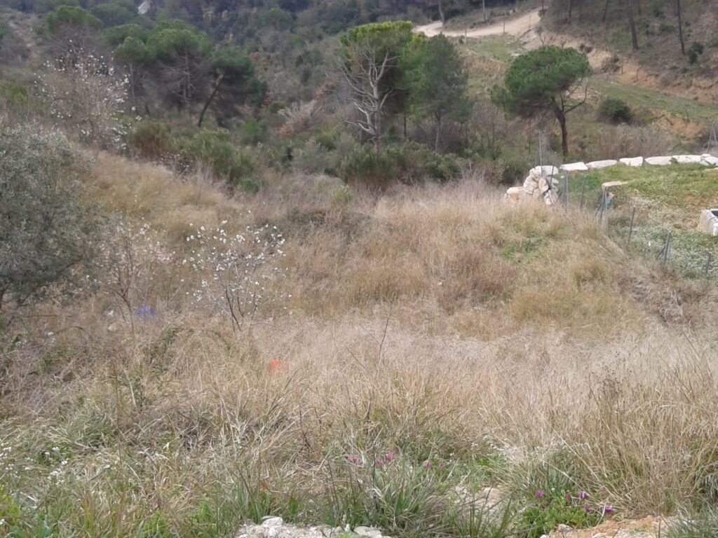 ¿Buscas un terreno para construir la casa de tus sueños? Este terreno urbanizable en Rubí, ubicado en la tranquila zona de Castellnou i Can Mir, ofrece una excelente oportunidad. Con una superficie de 555 m2, se presenta como un espacio ideal para desarrollar un proyecto residencial.