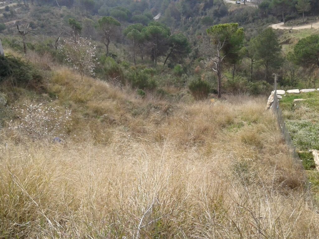 ¿Buscas un terreno para construir la casa de tus sueños? Este terreno urbanizable en Rubí, ubicado en la tranquila zona de Castellnou i Can Mir, ofrece una excelente oportunidad. Con una superficie de 555 m2, se presenta como un espacio ideal para desarrollar un proyecto residencial.