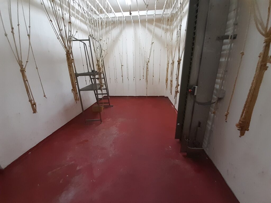 RUBI: Espectacular local seminuevo totalmente