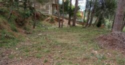 Oportunitat compra de terreny amb projecte inclòs!