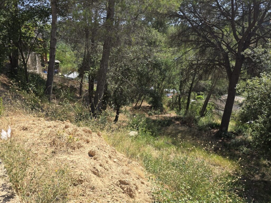 Oportunitat compra de terreny amb projecte inclòs!