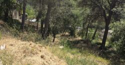 Oportunitat compra de terreny amb projecte inclòs!