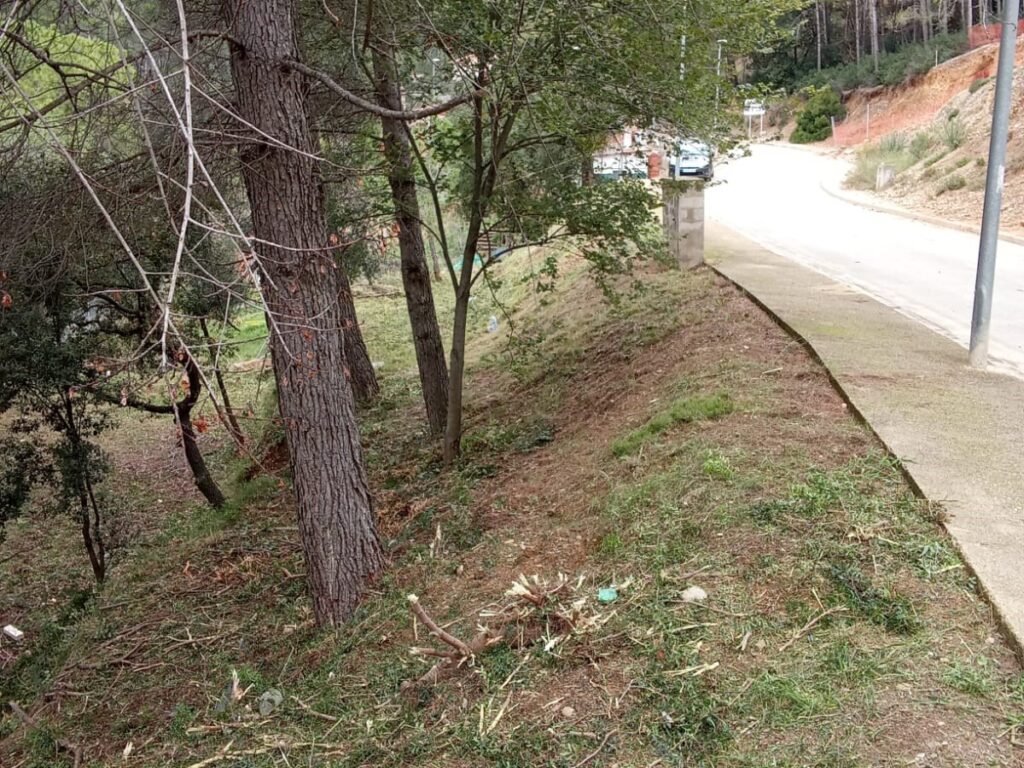 Oportunitat compra de terreny amb projecte inclòs!