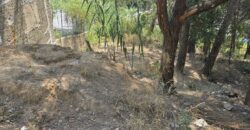 Oportunitat compra de terreny amb projecte inclòs!