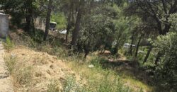 Oportunitat compra de terreny amb projecte inclòs!