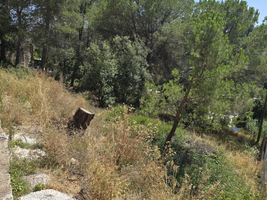 Oportunitat compra de terreny amb projecte inclòs!