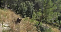 Oportunitat compra de terreny amb projecte inclòs!