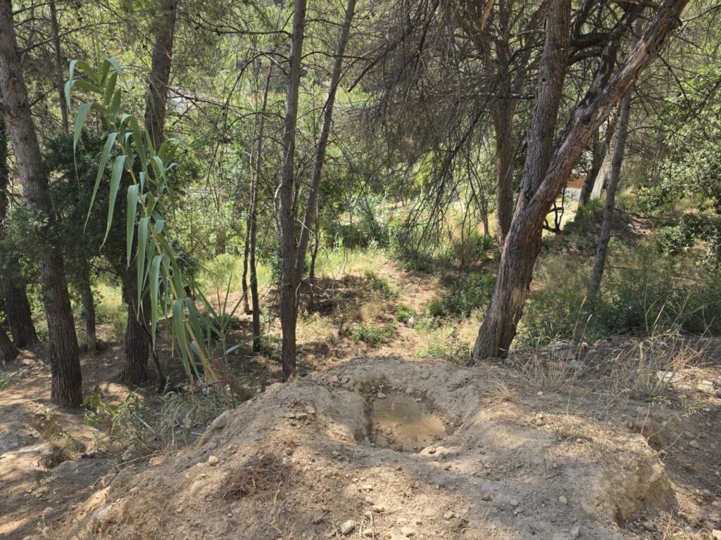 Oportunitat compra de terreny amb projecte inclòs!