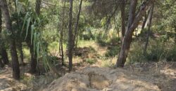 Oportunitat compra de terreny amb projecte inclòs!