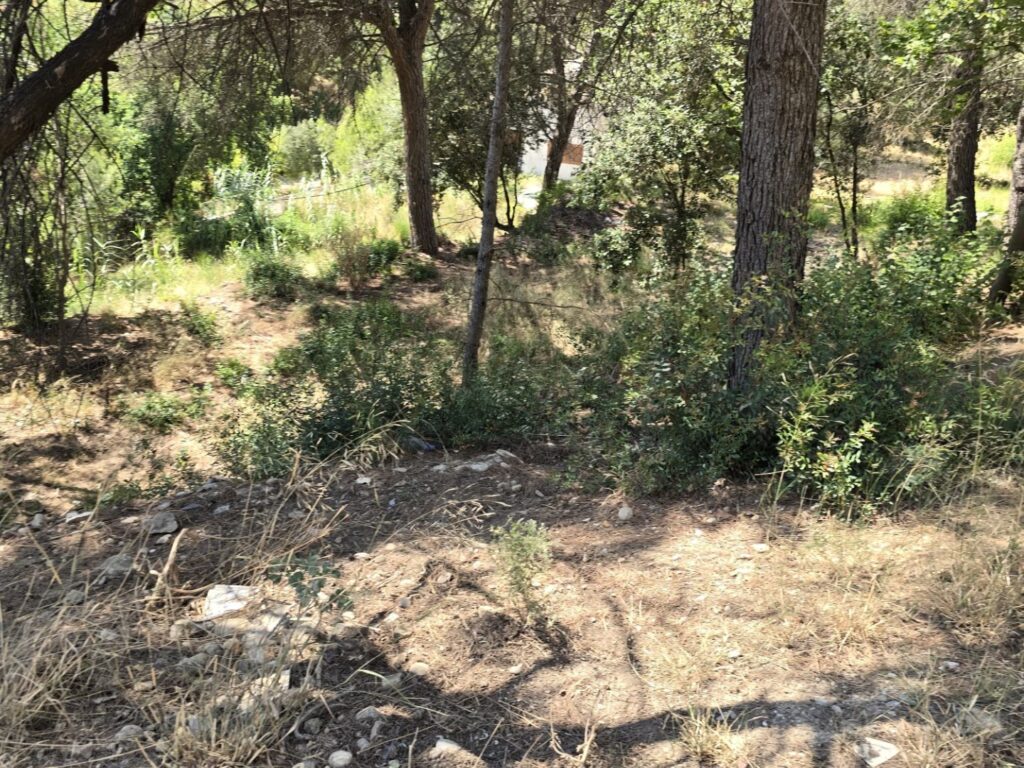 Oportunitat compra de terreny amb projecte inclòs!