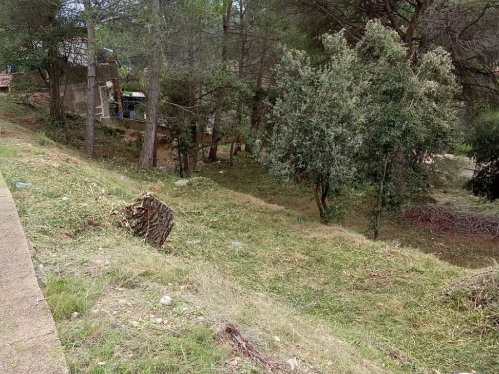 Oportunitat compra de terreny amb projecte inclòs!