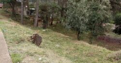 Oportunitat compra de terreny amb projecte inclòs!