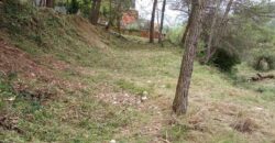 Oportunitat compra de terreny amb projecte inclòs!