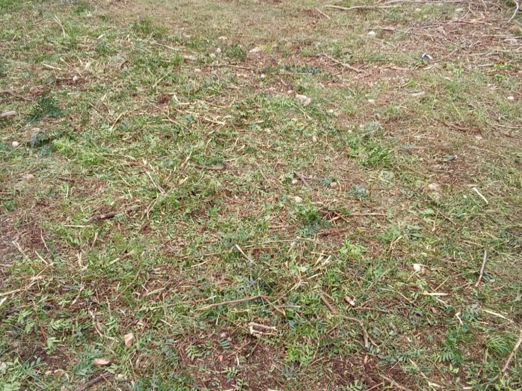 Oportunitat compra de terreny amb projecte inclòs!