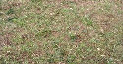 Oportunitat compra de terreny amb projecte inclòs!