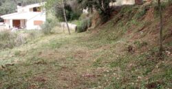 Oportunitat compra de terreny amb projecte inclòs!