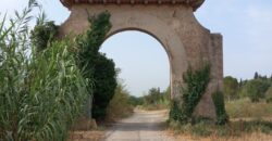 RUBI: Terreno rural y forestal no urbanizable  en Zona Can Fonollet Tiene una superficie de unas 60 hectáreas de suelo mayormente forestal, de secano, vid y pasto.