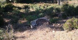 Se presenta un terreno urbanizable en venta, ubicado en la zona de Castellnou i Can Mir, en Rubí. Esta propiedad cuenta con una extensión de 756 m², con la posibilidad de edificación, lo que ofrece una excelente oportunidad para desarrollar un proyecto residencial .