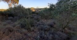 CASTELLBISBAL: Parcel·la rústica agrària