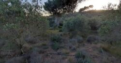 CASTELLBISBAL: Parcel·la rústica agrària