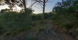 CASTELLBISBAL: Parcel·la rústica agrària