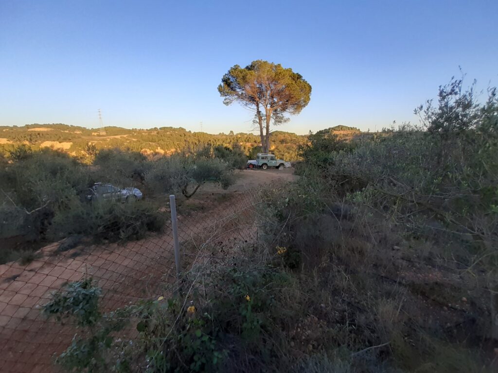 CASTELLBISBAL: Parcel·la rústica agrària