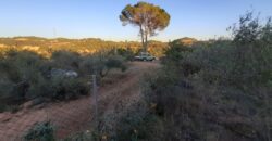 CASTELLBISBAL: Parcel·la rústica agrària