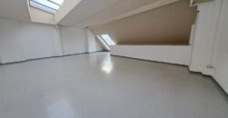 Es presenta un local de lloguer a Rubí, ubicat a zona Centre-CEIP Pau Casals. Aquest espai compta amb una superfície construïda de 253 m2, oferint una distribució funcional per a diverses activitats comercials, ideal professionals.