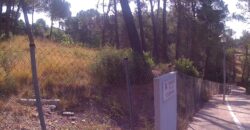 SOLAR CANTONER A LA ZONA DE SANT MUÇ