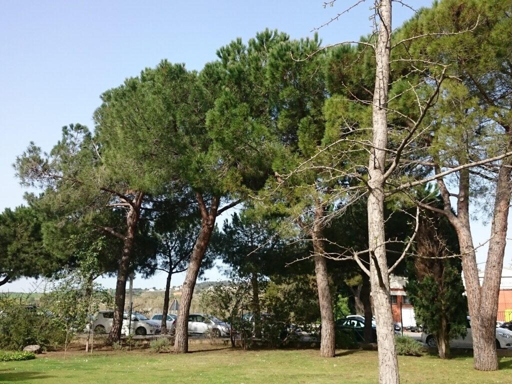 RUBI: Can Rosés. Oficina de 290m2 amb 4