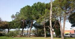 RUBI: Can Rosés. Oficina de 290m2 amb 4