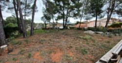 ¡Terreny edificable de 1.158 m2 en venda a Castellbisbal, ideal per al teu projecte!