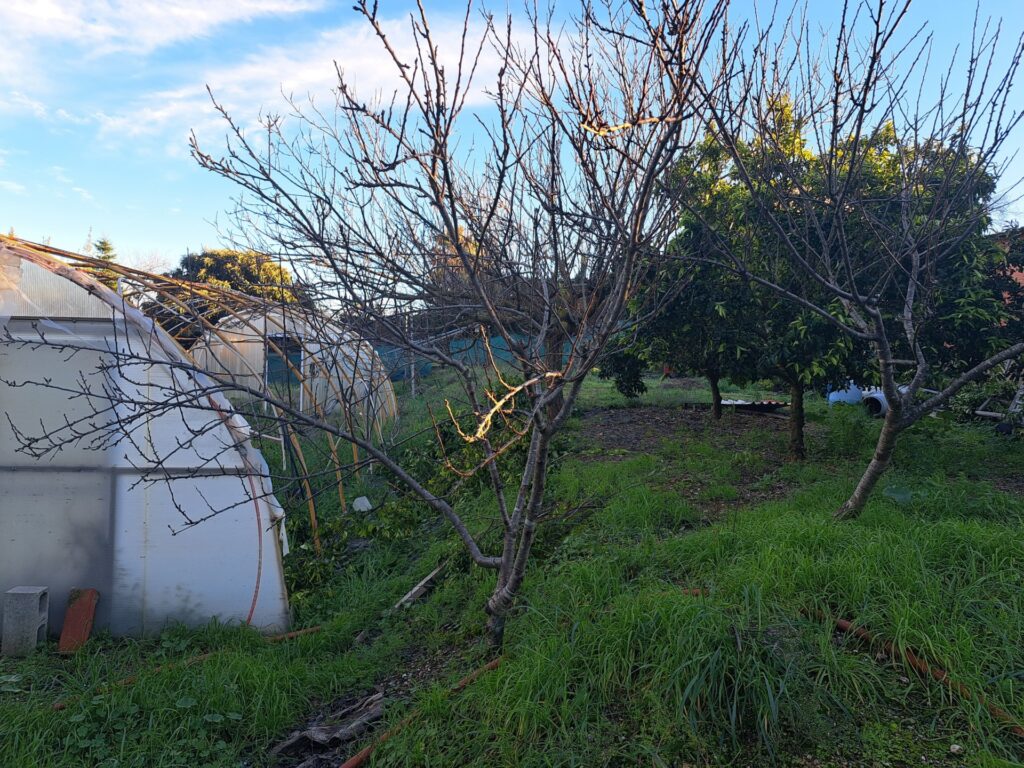 ¡Terreny urbanitzable en venda a Rubí, 1.800 m² per construir el teu projecte ideal!