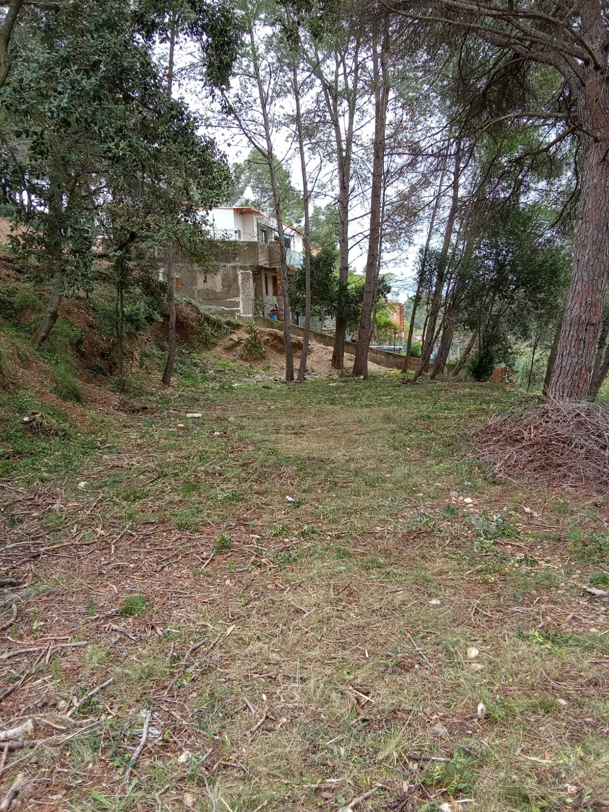 Oportunitat compra de terreny amb projecte inclòs!