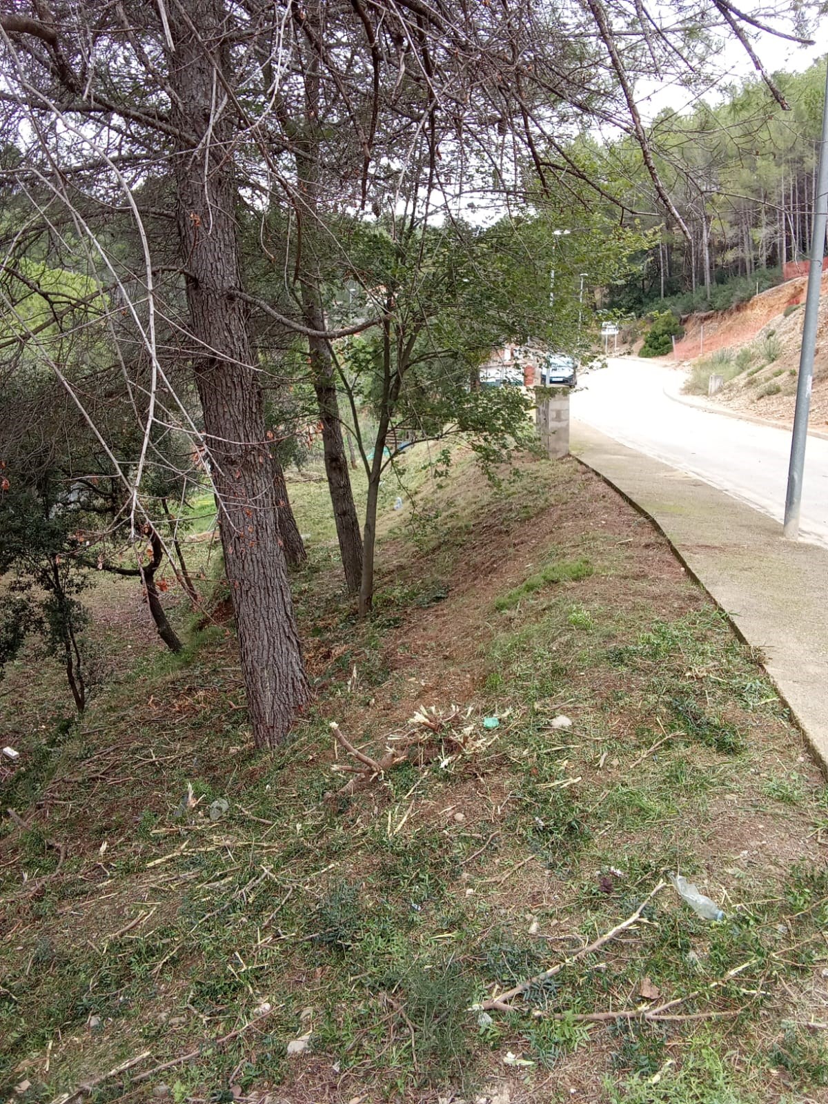 Oportunitat compra de terreny amb projecte inclòs!