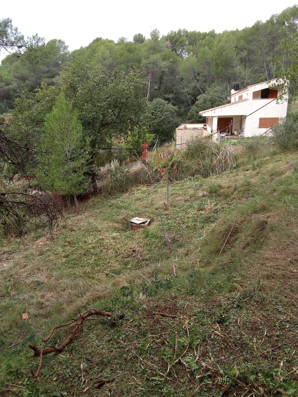Oportunitat compra de terreny amb projecte inclòs!
