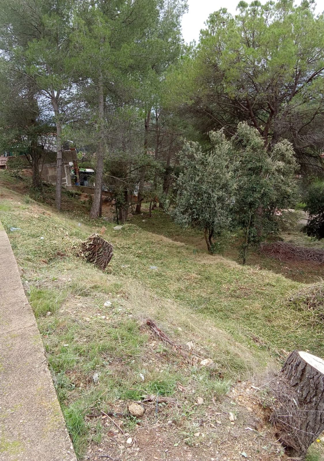 Oportunitat compra de terreny amb projecte inclòs!