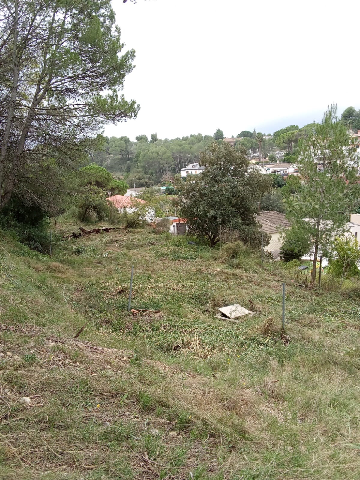 Oportunitat compra de terreny amb projecte inclòs!