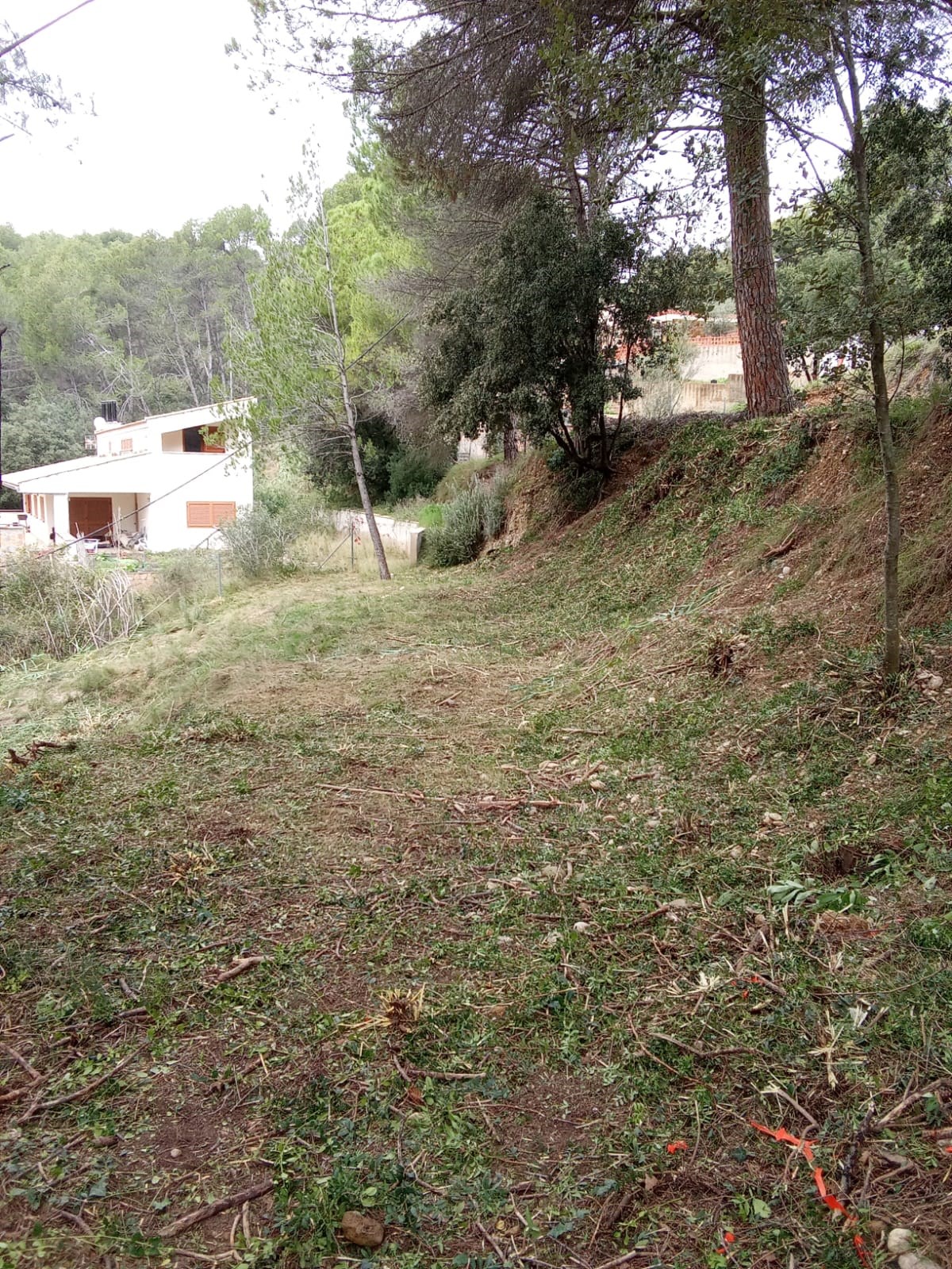 Oportunitat compra de terreny amb projecte inclòs!