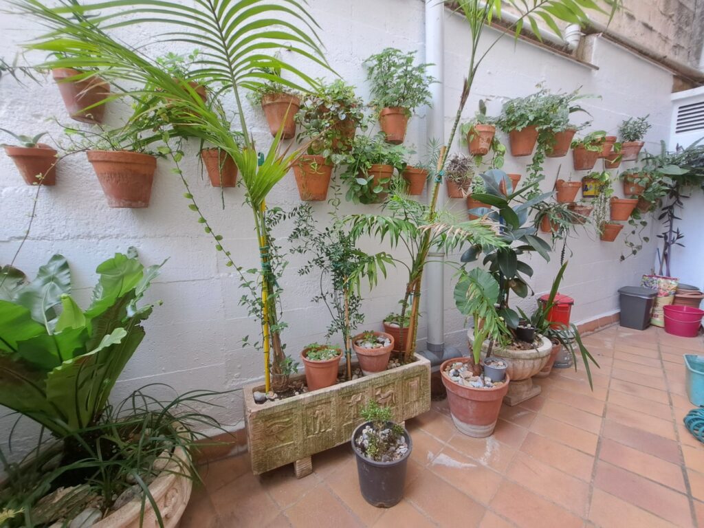 ¡Amplio piso de 4 habitaciones en la zona Mutua, ideal para tu familia!