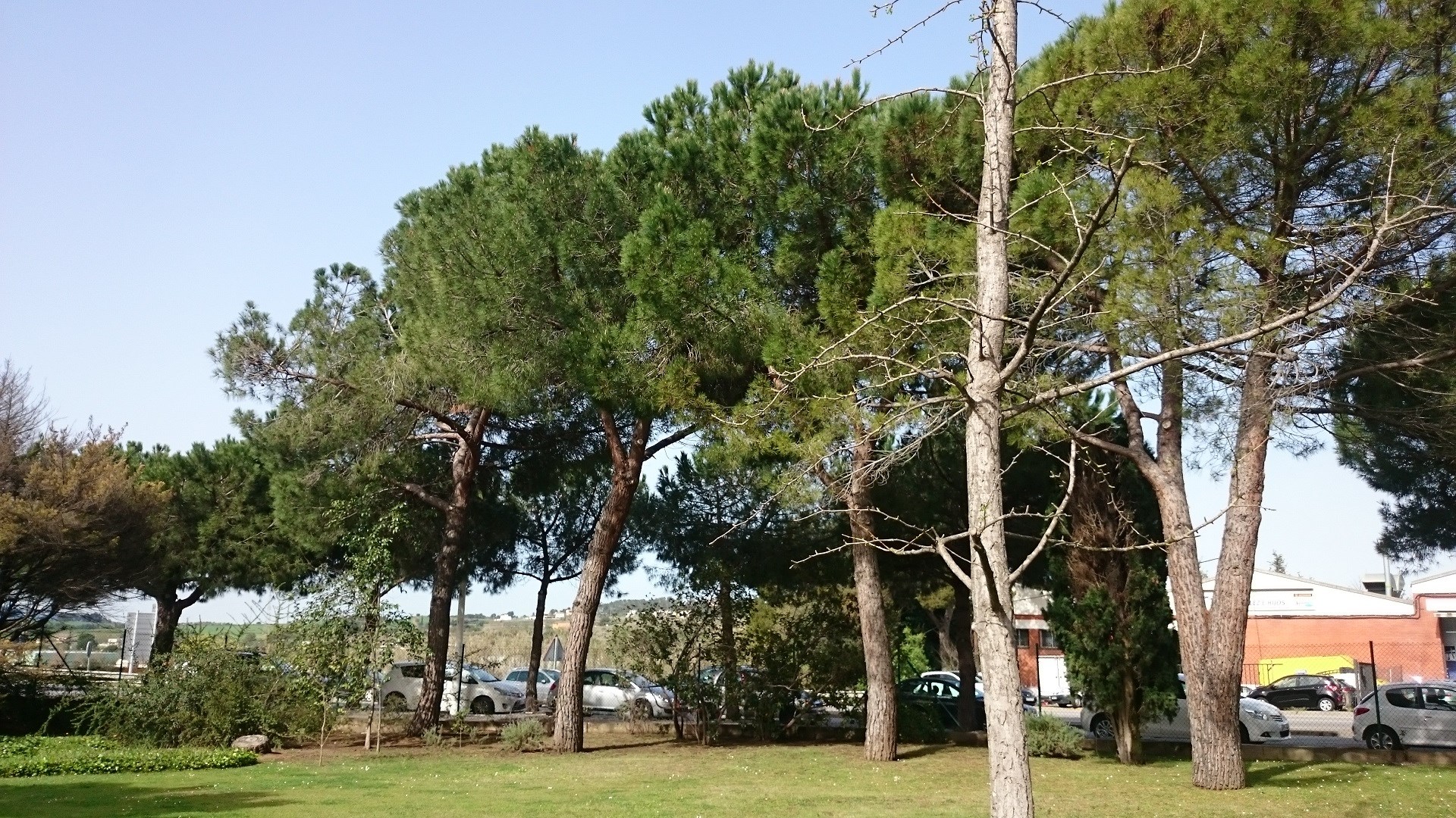 ¡Amplia oficina en alquiler en Rubí, 300 m2 con parking y climatización. Ideal para tu negocio!