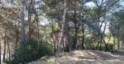 Oportunitat única a Rubí! Es troba disponible un terreny urbanitzable a la tranquil·la zona de Castellnou i Can Mir. Amb una superfície de 432 m2, aquest espai ofereix múltiples possibilitats per construir la vivenda dels teus somnis.