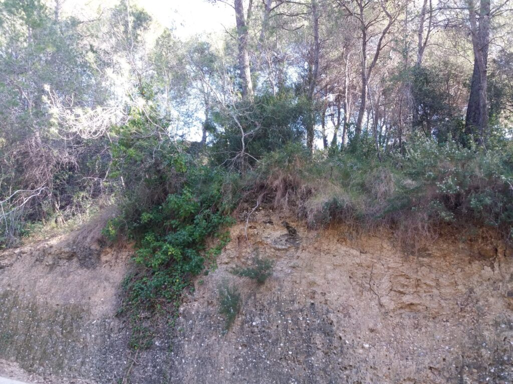 Oportunitat única a Rubí! Es troba disponible un terreny urbanitzable a la tranquil·la zona de Castellnou i Can Mir. Amb una superfície de 432 m2, aquest espai ofereix múltiples possibilitats per construir la vivenda dels teus somnis.