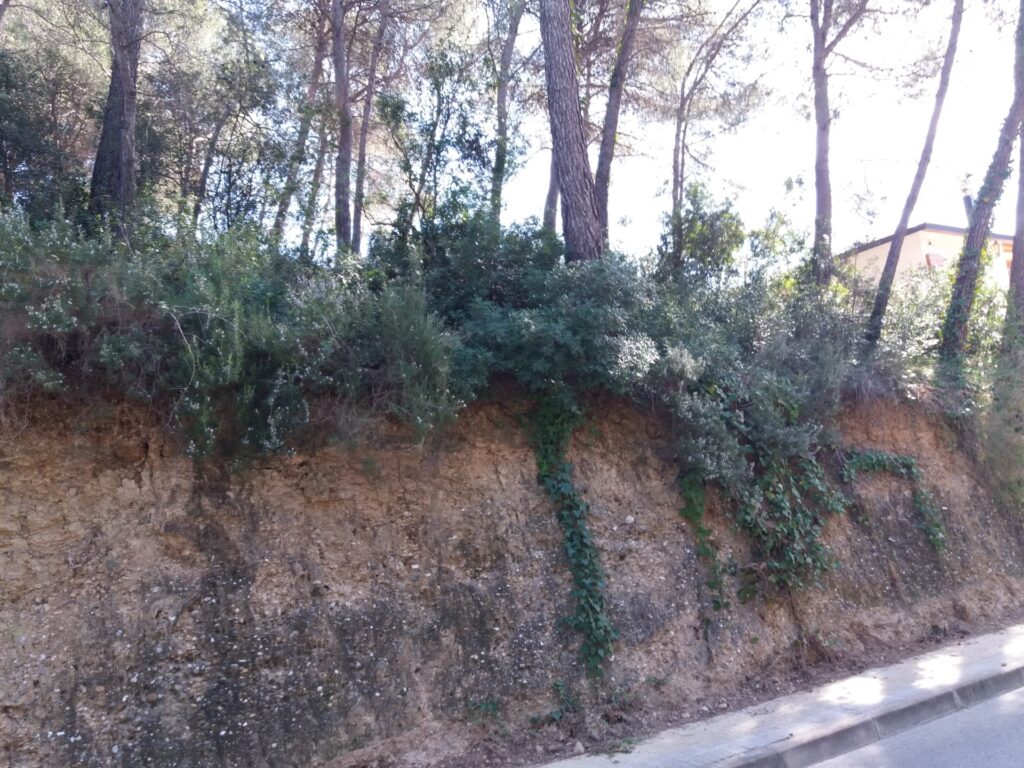 Oportunitat única a Rubí! S’ofereix en venda un terreny urbanitzable de 474 m2 ubicat a la tranquil·la zona de Castellnou i Can Mir.