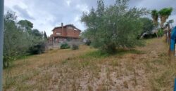 ¡Oportunidad de inversión en Rubí! Se ofrece en venta un terreno urbanizable en la tranquila zona de Can Ximelis – Can Serrafossa. Con una superficie de 439 m², este espacio permite edificar la casa de tus sueños o un proyecto que se adapte a tus necesidades.