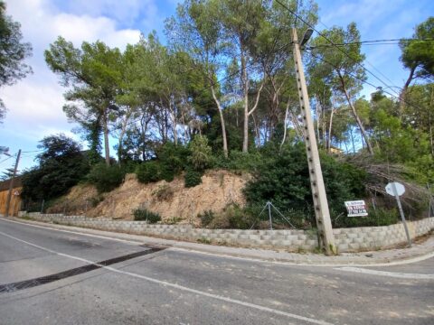 Parcel·la de 580m2 de forma trapezoide i