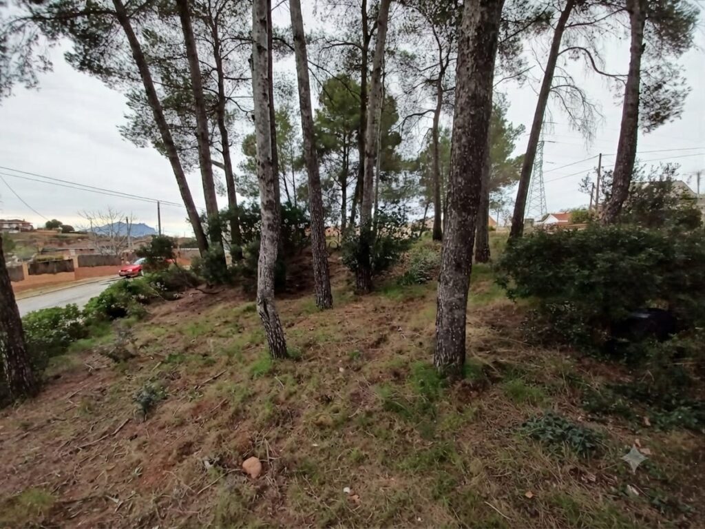 ¡Terreny edificable de 1.158 m2 en venda a Castellbisbal, ideal per al teu projecte!