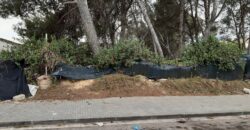 RUBI: Preciosa parcel·la de 600m2 amb 23m.